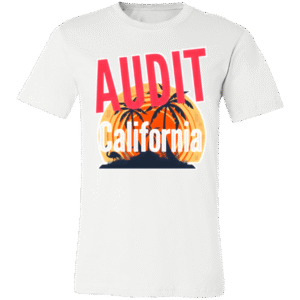 3001C Bella + Canvas Unisex Jersey Short-Sleeve T-Shirt