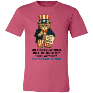 3001C Bella + Canvas Unisex Jersey Short-Sleeve T-Shirt