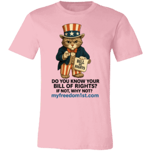 3001C Bella + Canvas Unisex Jersey Short-Sleeve T-Shirt