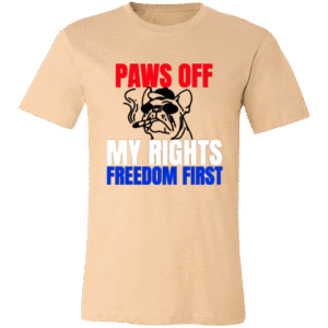 3001C Bella + Canvas Unisex Jersey Short-Sleeve T-Shirt